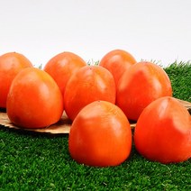 가을제철 달콤한 대봉감 5kg 25과이상 소과, 상세설명 참조