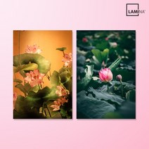 [바보사랑] 행운을 부르는 연꽃 풍수 탁상용 액자 10종, 이미지옵션:가로형연꽃01