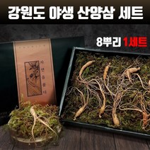 강원도 산양삼 5~6년근 야생 산양 산삼 8뿌리 자연산 진세노사이드 사포닌 수용성비타민 아미노산 무기질 면역력 피로회복 효능 먹는법 효삼 부모님선물 명절선물 고급 선물세트 인삼/수삼/장뇌삼, 1개, 5~6년근 8뿌리 1set
