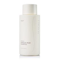 시크릿 하이드라 머드 헤어샴푸 사해 미네랄 아르간 오일 400ml, 옵션1