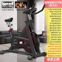 다이나믹 바이크 가정용 다이어트 실내자전거 헬스장 전용 운동기구 발 디딤 소형 무음, V10[레드]무저항/3D대전/운동데이터/피티클래스APP