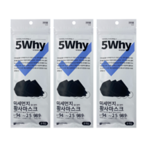 5why 파이브와이 KF94 초미세먼지 황사마스크 4종, KF94 L size 블랙 3매
