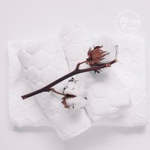 새로핸즈 알러지프리 프래그런스오일 화이트코튼 향 50ml FO, 단품