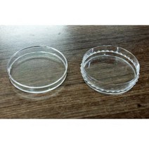 멸균 플라스틱 샬레 소 20P 배양 실험 도구 이해 교구 돌봄 준비물 창의