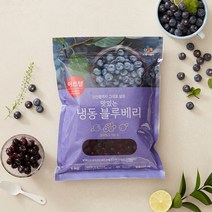 CJ 이츠웰 냉동 블루베리 1kg, 1팩1kg