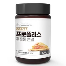 동결건조 프로폴리스 추출분말 100g 1통, 기타, 기타