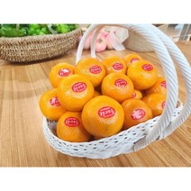 (가락시장/당일배송) 제주도 감귤 노지귤 특1등급 프리미엄 고급귤 과일선물 / by.모두의푸딩, 고급 노지귤 감귤 1kg