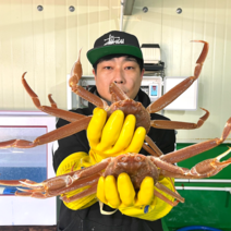 수율보장 100% 당일조업 산지직송 영덕대게 국산 대게, 영덕대게 (소) 3마리