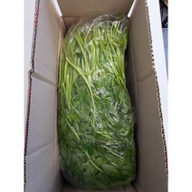 청주 밭미나리 하우스 4kg 미나리농장, 단품