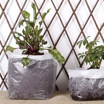 압축 코코피트 그로우백 중 18X18X3CM