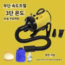 펫드라이룸 반려동물 드라이기 고양이 반려견 기계 털말리는 강아지, 옐로우