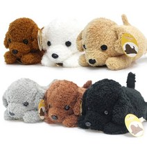 [기프트앤돌] 토이 푸들 강아지 라잉 봉제인형 30cm, 브라운