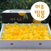 가정용 산지직송 제주도 서귀포 고당도 황금향 타이벡 극조생 노지 감귤 밀감 3kg 5kg, 타이벡감귤, 5kg(로얄과)
