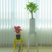 PFO003 무선공유기 옆 전자파차단 100cm 뱅갈고무나무, 테라조화분, PFO003-뱅갈고무나무