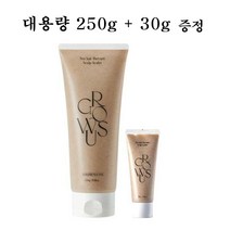그로우어스 씨솔트 테라피 두피 스케일러 250g + 30g 증정기획