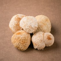 봉래 국산 노루궁뎅이 버섯 100g/한방/건강/약초/약재 식품 > 건강식품 전통건강식품 기타전통건강식품/한방재료, 100g, 1, 100g” class=”wr-img”></a></div></p></div></p></div></p></div><div class=