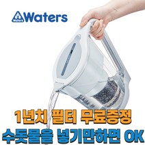 휴대용 알카리수 미네랄 미네랄워터 미니 정수기 워터스 에이스바이오플러스+필터1년치포함 수돗물 녹물 중금속 필터, 단품