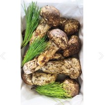 자연산 송이버섯 (백두산송이)가정용 선물용 1kg [원산지:중국산(이례송이)], 3등급(가정용), 3등품