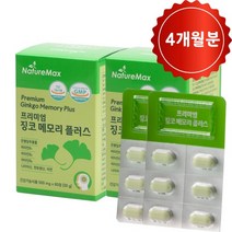 프리미엄 징코 메모리 플러스 혈액순환 혈행개선 두뇌 기억력 영양제 수험생 기억력 개선 은행잎추출물 2개월분, 500mg, 2개