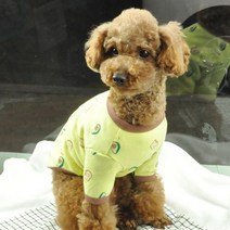 댕댕이 편한옷 강쥐 봄 강아지 베들링턴테리어 빠삐용강아지 삽살개 파티푸들 소형견 파티푸들 아보카도티셔츠, 그린