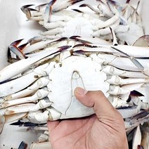 냉동꽃게 연평도 숫꽃게 급냉 숫게 서해 1kg 3-4미