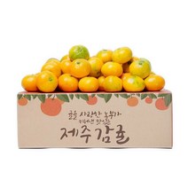 제주 햇 감귤 4.5kg 로열과, 상세페이지 참조, 5kg