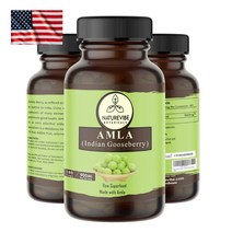 미국 Naturevibe Botanicals Amla 500mg 180캡슐 네이쳐바이브 보타니칼스 암라 아마륵 아말라키 추출물