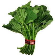 믿을수 있는 우리 농산물 아욱 400g내외