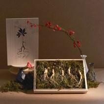 산양삼 효천영농조합 이루진스 7-8년근 장뇌삼 산양산삼 산삼 선물세트 부모님선물, 장뇌삼 년근 선택: 8년근 /, 장뇌삼 뿌리 선택: 5뿌리