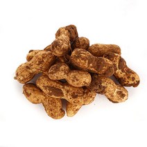 23년 국내산 삶아먹는 피땅콩 생땅콩 물땅콩, 1개, 땅콩10kg