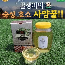 지리산 숙성 효소 아카시아꿀 2.4kg 사양꿀