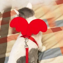 리드줄 고양이 산보함 끈 남긴 신기 전용 런닝 식식 잡아 끌다 방지 뿌리치다 멜빵 체인 2145590730, XS, 레드 엔젤 날개 .