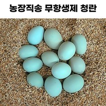청란 20구 40구 무항생제 청계란 농장직송 계란 유정란 초란 무항생인증
