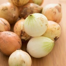 [자연맛남] 23년수확 제주직송 양파 5kg (장아찌용)