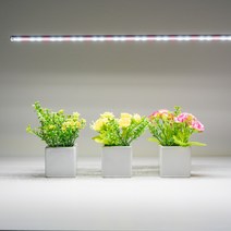 삼성LED바 식물생장용 2022년 신제품 식물등 조명재배 썬라이크, A타입-전원용 LED바 (50cm)