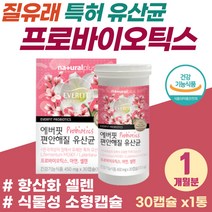 20대 여성 예민한 장 건강 유산균 질유래 프로바이오틱스 배에 가스 운동 부족 추천 살아있는 생유산균 미국 다니스코 여자 질 영양제 배변활동 원활 면역증진 PROBIOTIC
