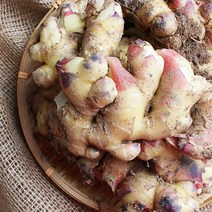 [프레시멘토] 향긋한 봉동 햇 생강 1kg, 세척생강 1kg, 1개