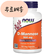 (아이허브) Now Foods D 마노스 500m.g 120배지개 빠른직구, 1개, 120개