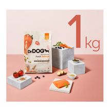 닥터독 3개월 이상 연어 피부모질 닥터독 사료, 1kg, 1개