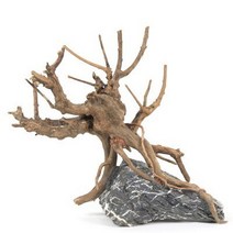 바보사랑 세틀 프리미엄 초야우드 선인장 유목 M 10cm.수이사쿠