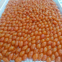 금귤정과 2023 햇 금귤정과, 50g, 50g