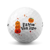 35 할로윈 캐릭터 홀인원 기념 골프공 로고 인쇄 제작 (6구), 브리지스톤 투어 B XS 6구 화이트, B