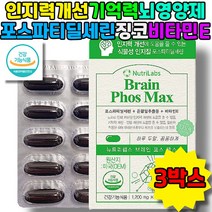 기억력 인지력 영양제 뇌건강식품 포스파티딜세린 은행잎 포스파티세린 징크 노인 60대 70대 80대 뇌건강