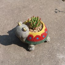 미니어처 거북이 모형 다육 선인장 화분, A 화분 + 레몬 핑거 + 흙 + 포장 패키지
