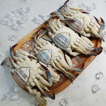 연평도 제철 급냉 암꽃게 활꽃게 산지직송 알배기 생물꽃게 냉동 2kg