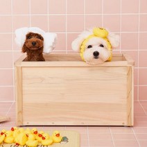 [천삼백케이] [투인플레이스] 가정용 강아지스파 고양이 목욕 편백나무 히히노끼 욕조, [홈스파용] 히히노끼욕조