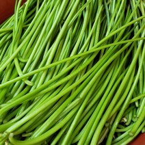 [오늘의채소] 국내산 노지 깐 고구마순 500g 내외, 단품없음