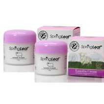 스프링리프 바이타민 로즈 라놀린 크림 Spring Leaf 100g 2팩