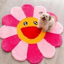 1인 2인 자취 협탁 보조 사이드 미니 개성 독특 신기 패셔너블한 클로크룸 소프트 카펫 모던하고 심플한 침실 침대 옆 장식 러그 가정 방 해바라기 얼룩 방지, 15.B  160x160CM