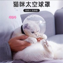 우주인 넥카라 고양이 강아지 우주선 깔대기 목보호대 반려동물 목카라 Esyuse 증정